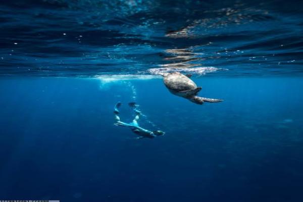 世界十大强度最高的体育项目(图1)